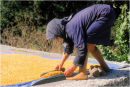 Spreading the Grain