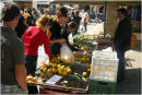 Market Day#1