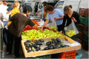 Market Day#3