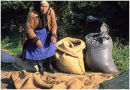 Olive picker