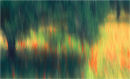 Olive Grove Impression