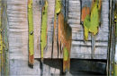 Peeling paint #2