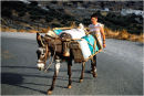 The Water Carrier