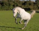 New images added - Check out the Latest Images gallery.