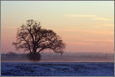 A Crisp Start