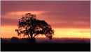 Elstead Sunrise, May 2006