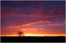 Cloud Shadows, Elstead Sunrise