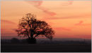 Elstead Sunrise, November 2007