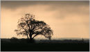 Elstead Sunrise, May 2006