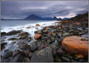 Moody Elgol II