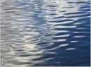IMG 9261 800