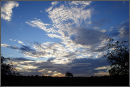 Autumn Skies