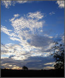 Autumn Skies II