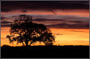 Sunrise Splendor