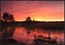 The Last Sunset of 2006