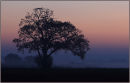 Autumnal Skies