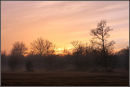 Misty Sunset, Royal Common, Elstead III