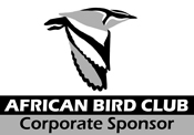 ABC logo