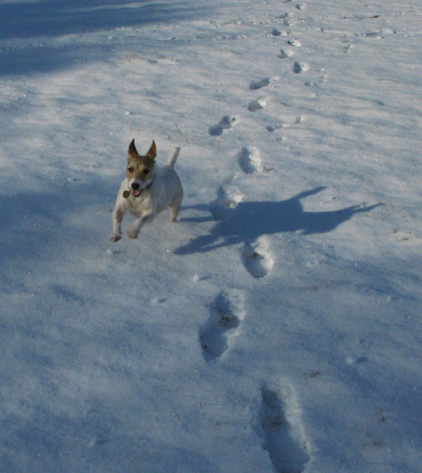 Snow Fun