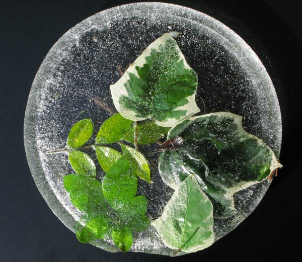 Iced Leaves