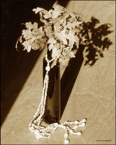 Bottle & Shadow