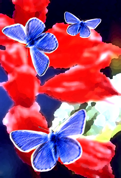 Blue & Red