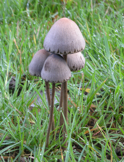 Shelter From The Rain