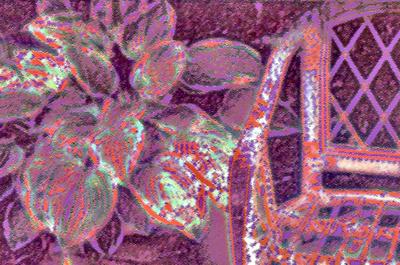 Garden Chair