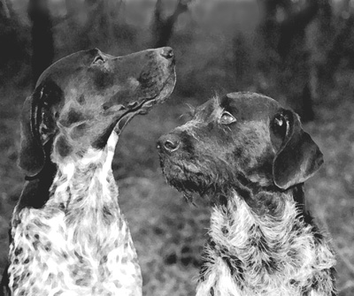Best of Friends