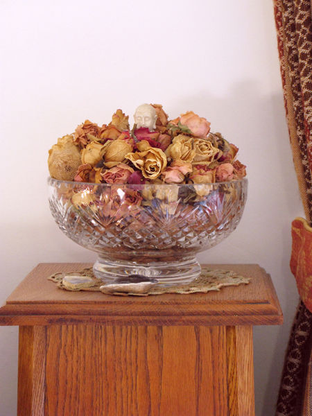 Dried Roses
