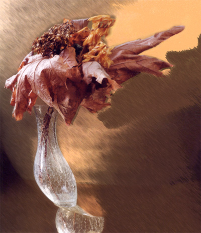 Swirling Leaves