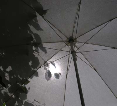 Silhouette & Shade