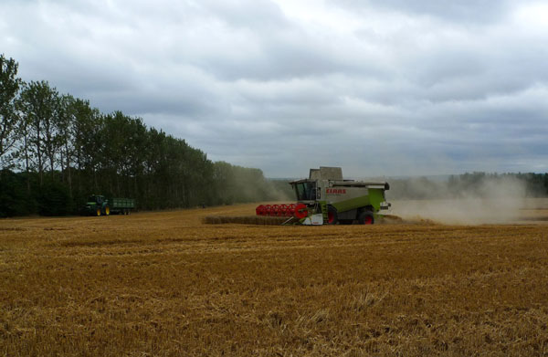 'Claas' Combine Harvester
