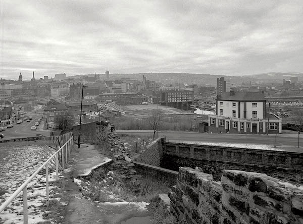 Durham Ox 1989