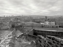 Durham Ox 1989
