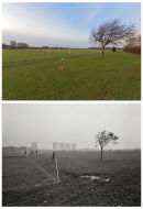 Hackney Marshes 2011 & 1987