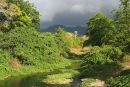 Lush river valley