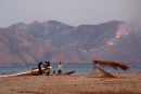 Slash and burn