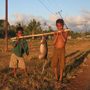 Young hunters