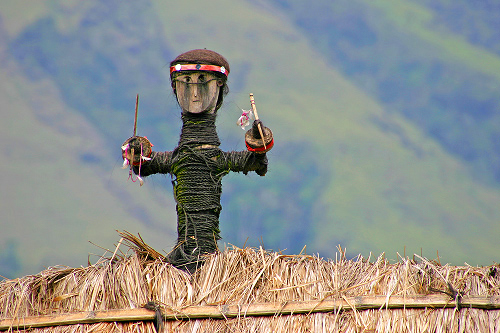 Protecting the village