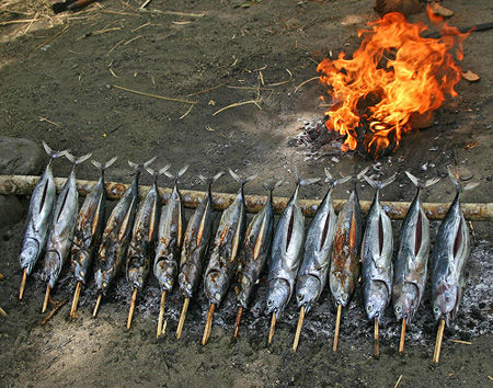 Grilled fish