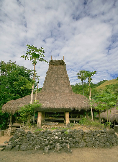 Traditional Sumba house
