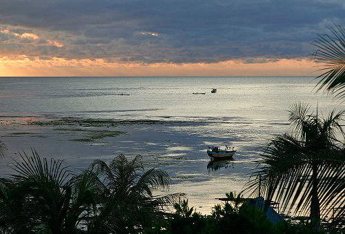Low tide