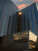 Reflections #1