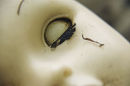 Doll #4