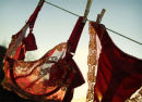 Washing line #5
