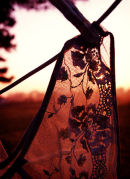 Washing line #1