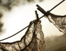 Washing line #3