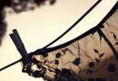 Washing line #2