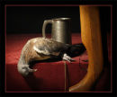 After a day's shooting